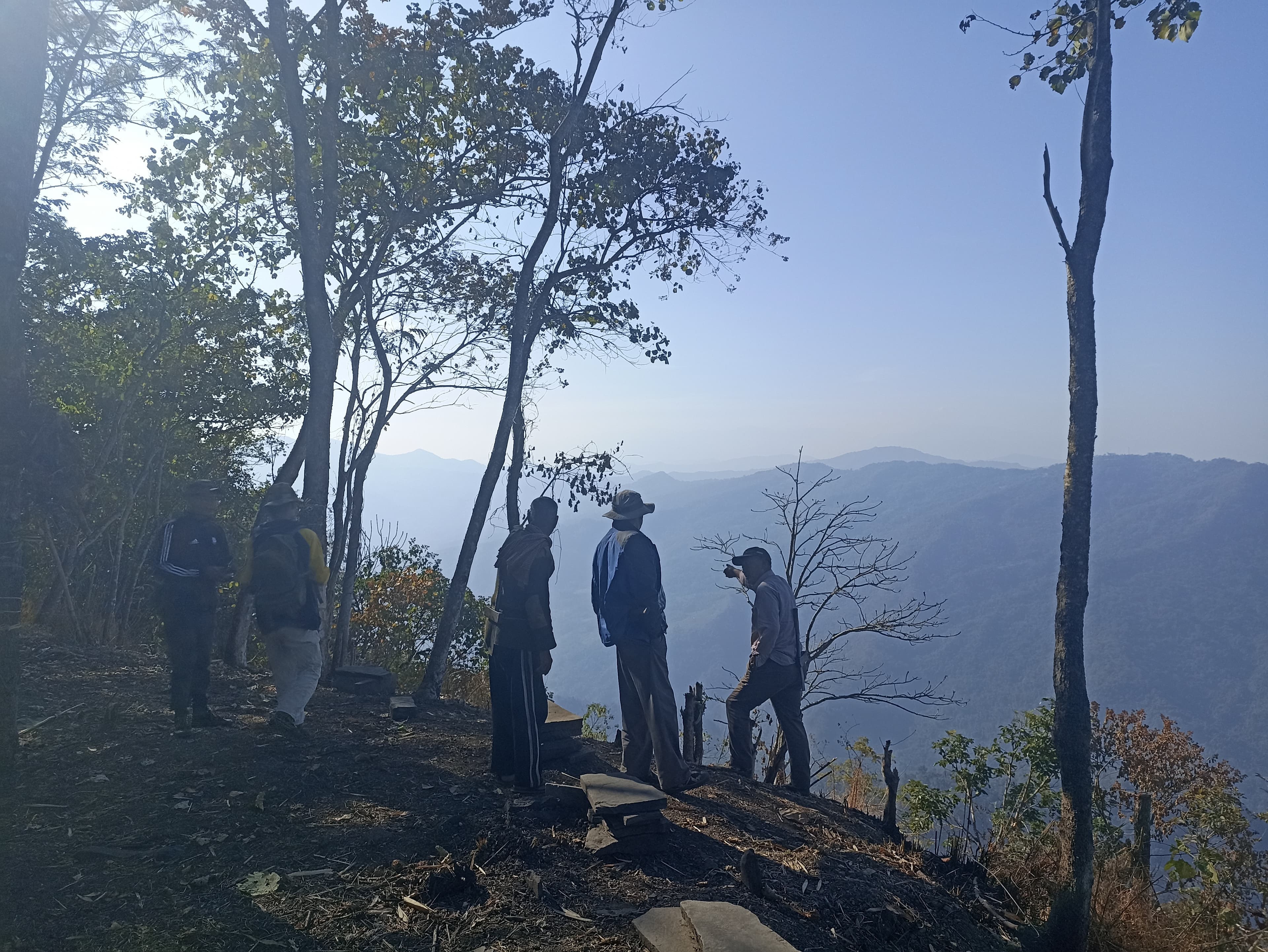 A wide view of the Nagaland landscape at dawn.