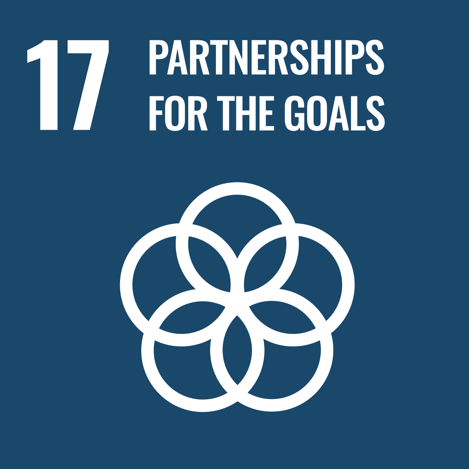 SDG 17 · Partnerships